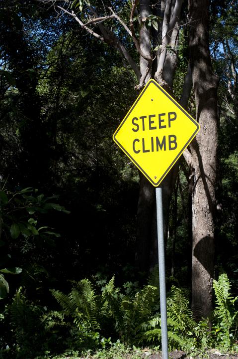 Yellow Steep Climb Warning Road Sign Indicating Hill, Outdoors in Forested Area