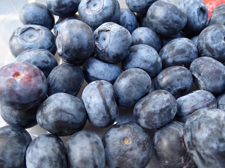 Close up background of fresh healthy raw blueberries for use as a cooking ingredient and dessert