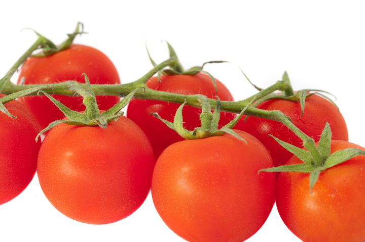 Close up Healthy Fresh Juicy Red Tomatoes on a Stem, Isolated on White Background.