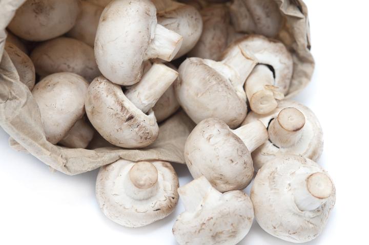 Bag of fresh white button mushrooms, or Agaricus bisporis, spilling out onto the counter ready to be used in savory or vegetarian cooking, close up view