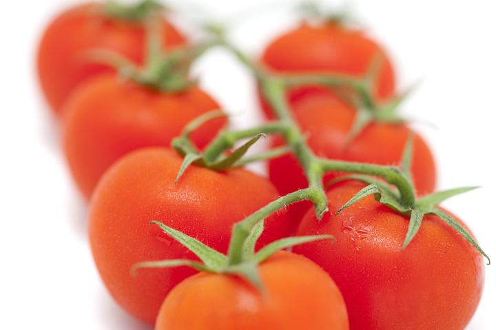 Close up Seven Organic Red Tomatoes on a Stem Isolated on White Background.