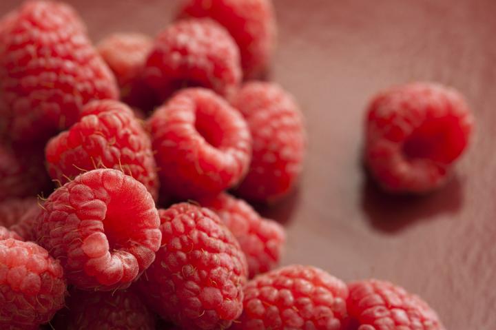Close up of a vibrant pile of fresh picked red raspberries on a rustic background.