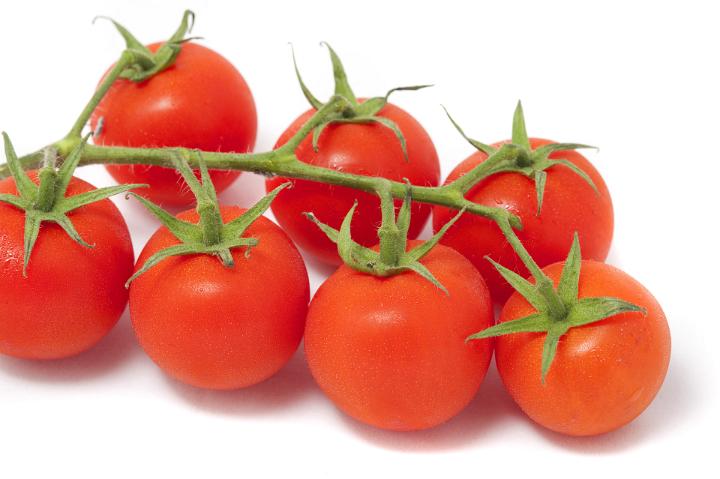 Bunch of juicy ripe red fresh organic cherry tomatoes on the vine over a white background for cooking or use as a salad ingredient
