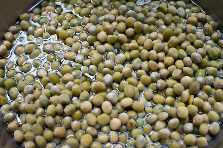 Close Up of Shelled Green Peas Soaking in Water in a Pot and Prepped for Cooking as part of Meal
