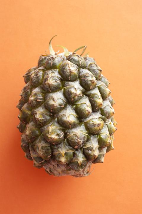 Single whole ripe tropical pineapple lying on its side on an orange background in a concept of a healthy diet and food
