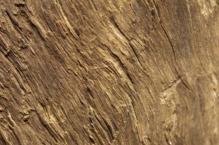 Natural brown background made of irregular rough wooden surface, useful material for carpentry or construction, close-up