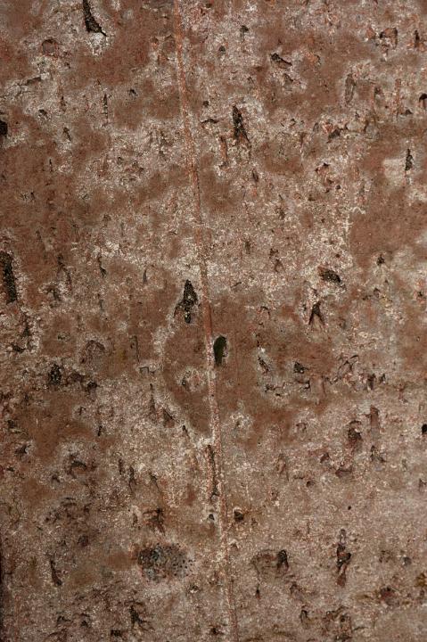 Details of a Close up Textured Brown Brick. Can be Used for Vintage Background Designs, Emphasizing Copy Space.