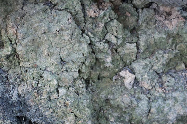 Full frame background texture of dried grey cracked mud viewed from overhead