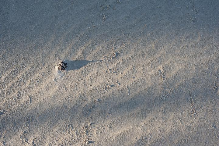 Evening light texture of sand ripples caused by the wind or tide on the surface of the beach or dune in a nature and environmental background
