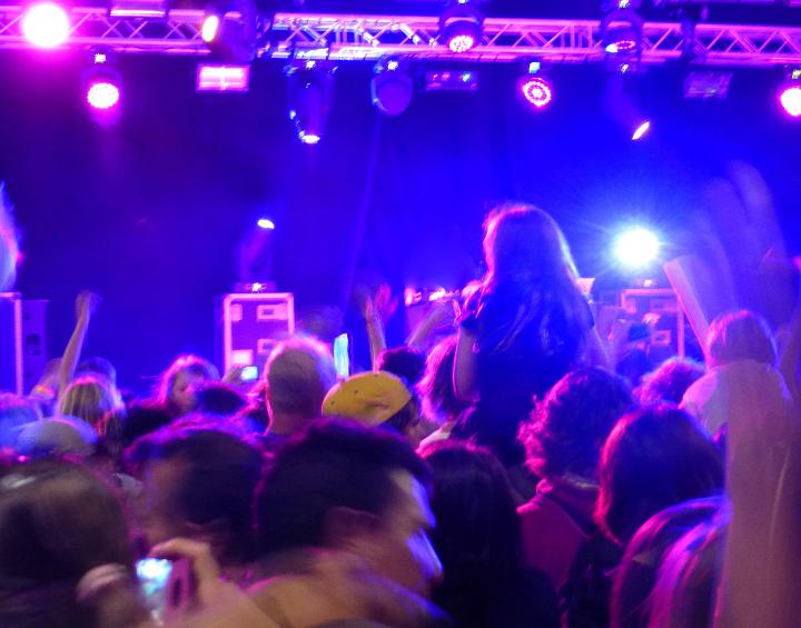 Random People in the Crowd Jamming on a Musical Night Concert