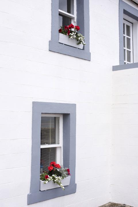 Colorful red and white flowers growing in window boxes in the grey windows of a whitewashed house in a close up background view