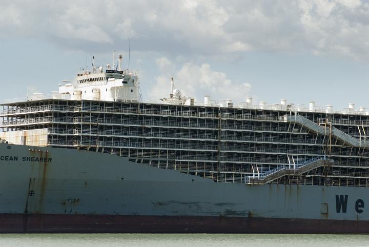 Livestock transport ship with open sided decks and metal pens for holding the animals during the voyage, close up side view