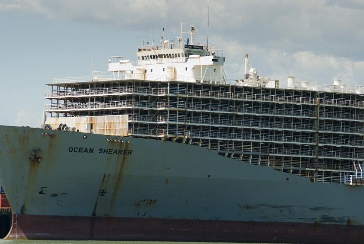 A cargo vessel for transporting livestock overseas while still living