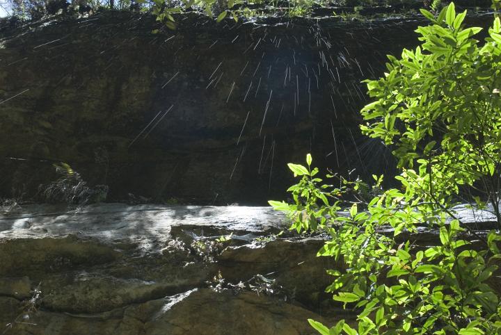 Looking Up at Dripping Water Falling Over Edge of Rocky Cliff, Framed with Tree Branches Covered in Green Leaves