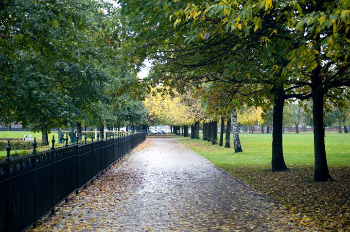Picturesque tree lined footpath leading through an autumn park with colorful foliage and fallen leaves
