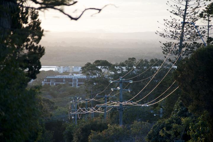 Power lines looping down through trees to urban buildings distributing electricity and power on a misty day