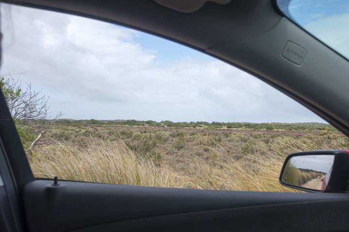 A view of an empty, baron landscape from a car passenger side window pulled over on a highway roadside.